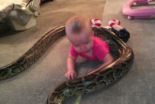 Snake 3